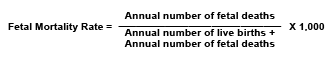 Fetal Mortality Rate