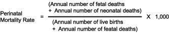 Perinatal Mortality Rate