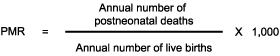 Postneonatal Mortality Rate